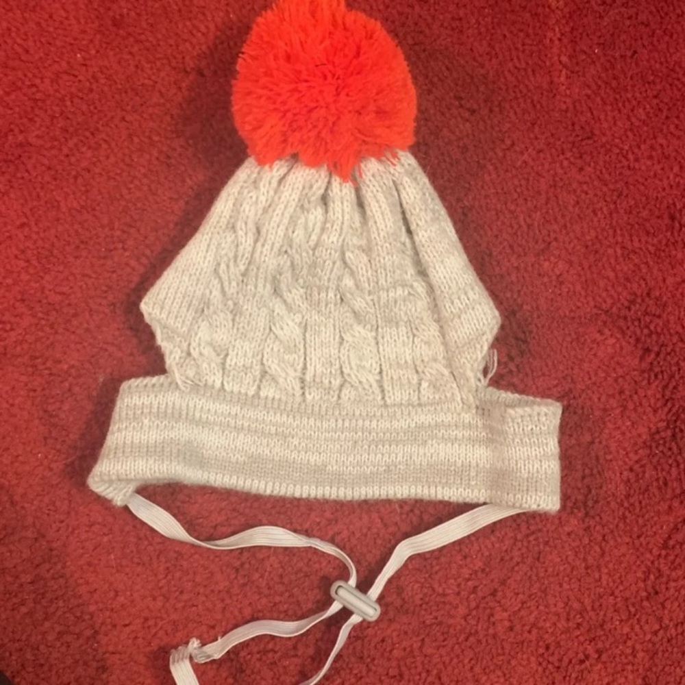 Dog hat